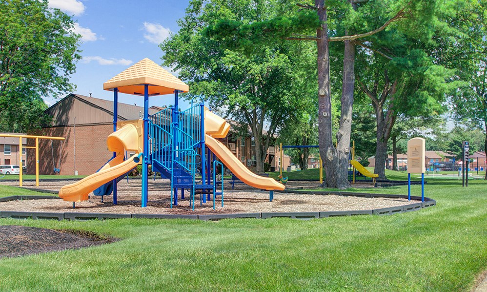 a playground with a blue and yellow slide