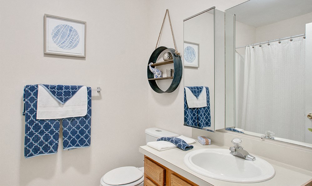 a bathroom with a sink toilet and a mirror