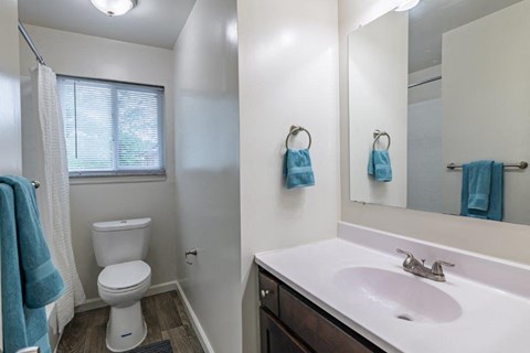 a bathroom with a sink toilet and a mirror