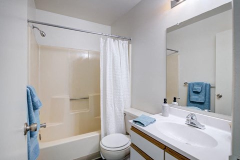 a bathroom with a sink toilet and a mirror