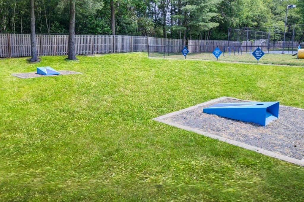 two blue trampolines on the grass in a park