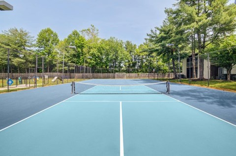 a tennis court with trees and a fence around it