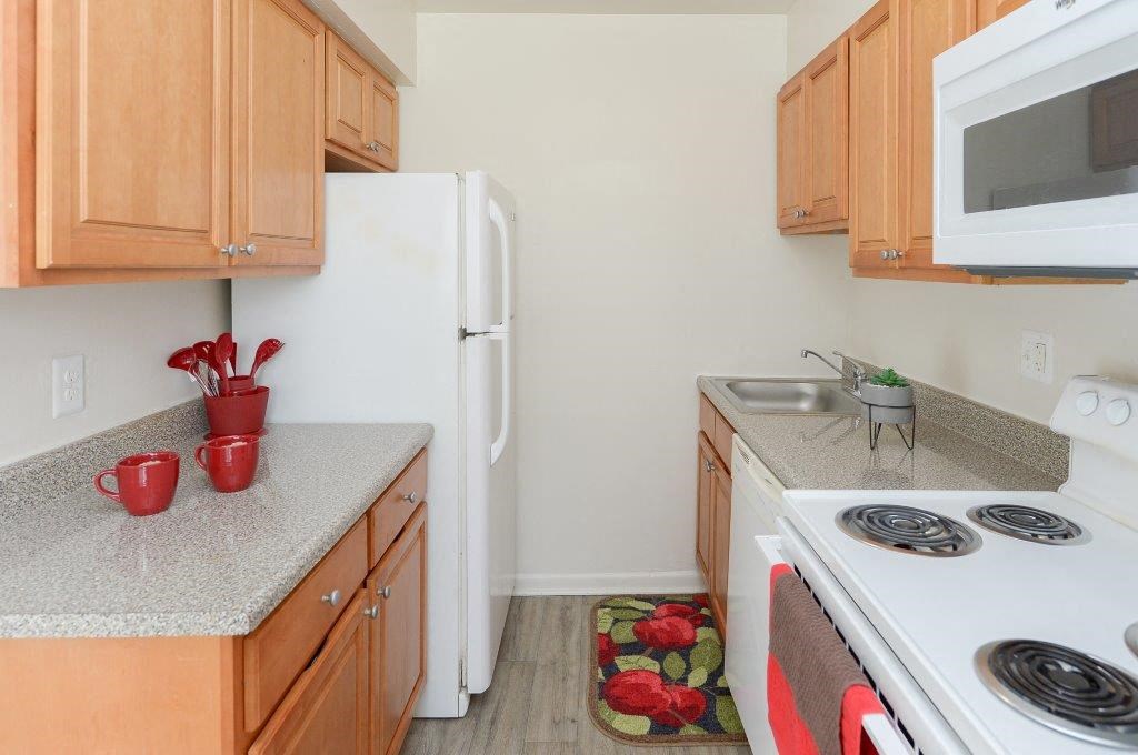 a kitchen with a stove and a refrigerator