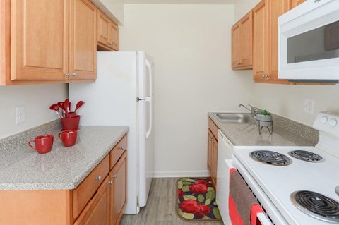 a kitchen with a stove and a refrigerator