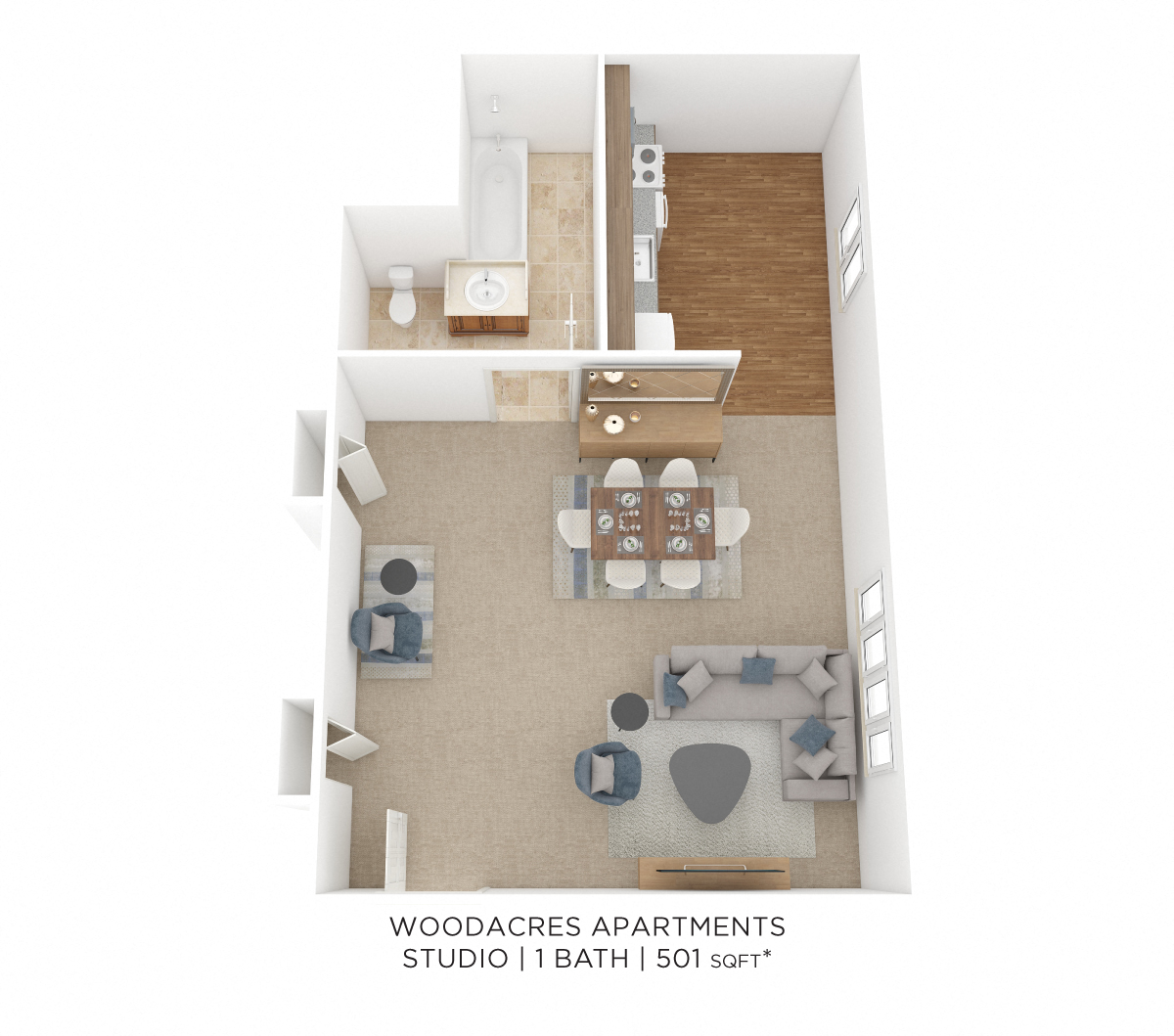 Studio - 501 sqft