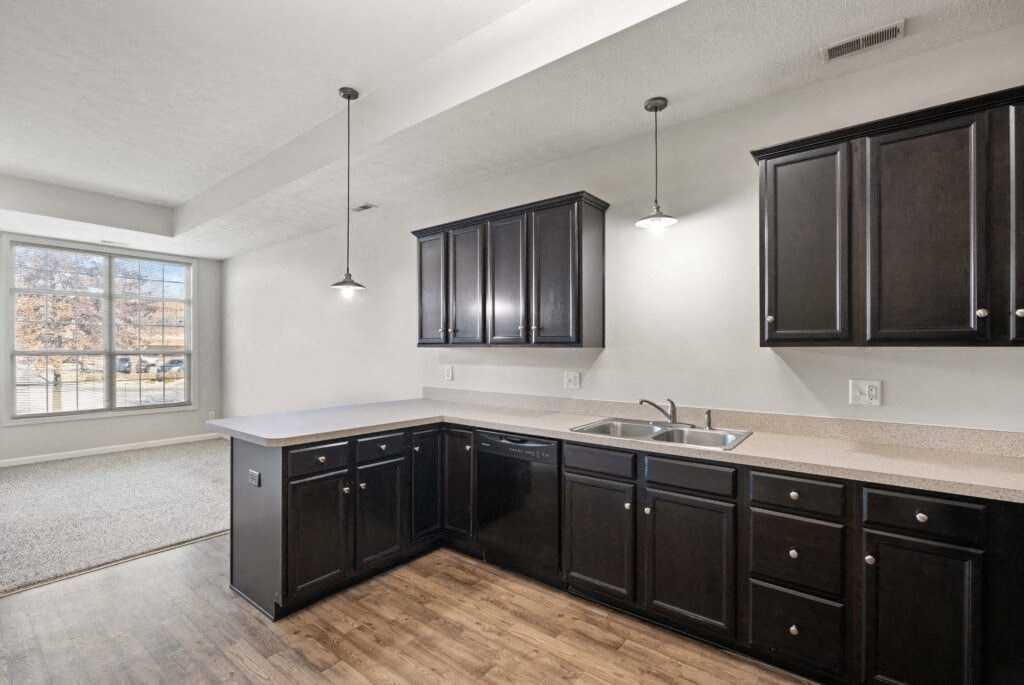 an empty kitchen with black cabinets and a sink