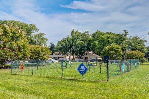 the preserve at ballantyne commons dog park city