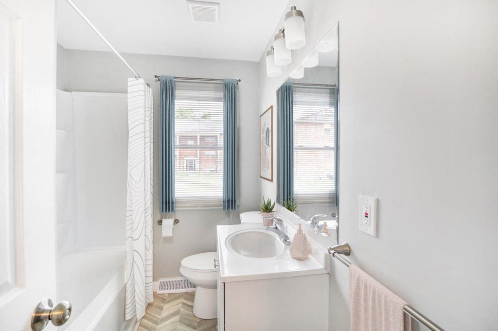 a bathroom with a toilet sink and a mirror
