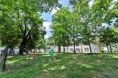 a backyard with trees and a fence and a red fire hydrant