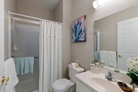 a bathroom with a shower toilet and sink and a mirror