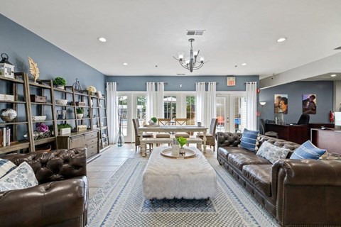 a living room with blue walls and leather furniture
