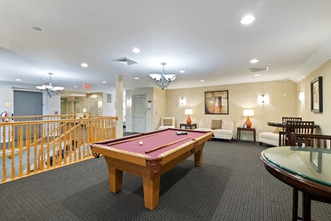 a games room with a pool table