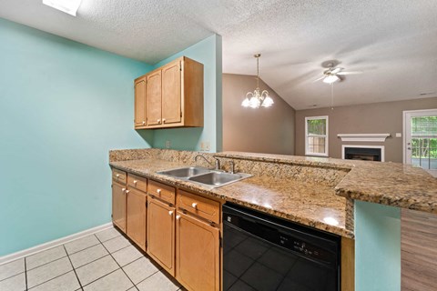 A kitchen with a granite countertop and a black dishwasher.