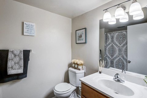 a bathroom with a sink toilet and a mirror