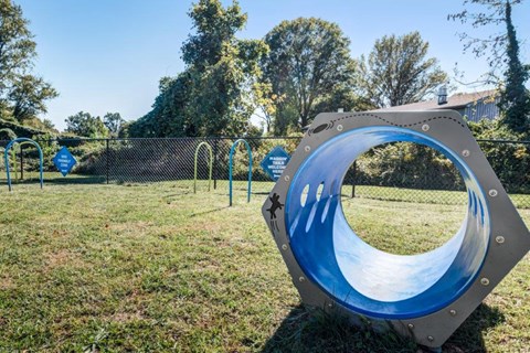 a playground with a blue slide in a park