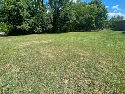 A large, open grassy field with trees in the background.