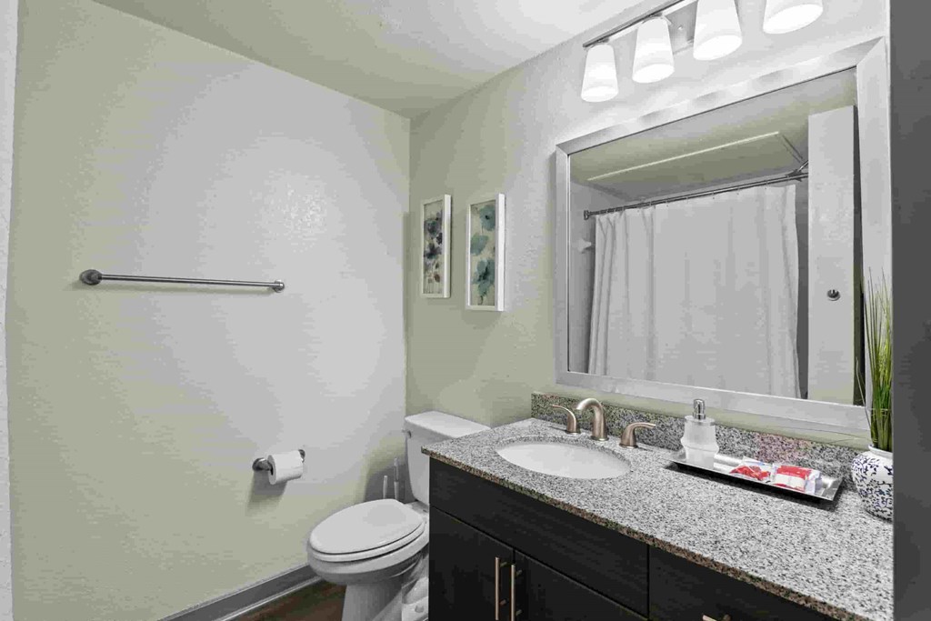 a bathroom with a sink and a toilet and a mirror