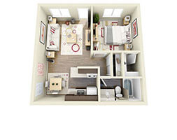 1 Bed 1 Bath