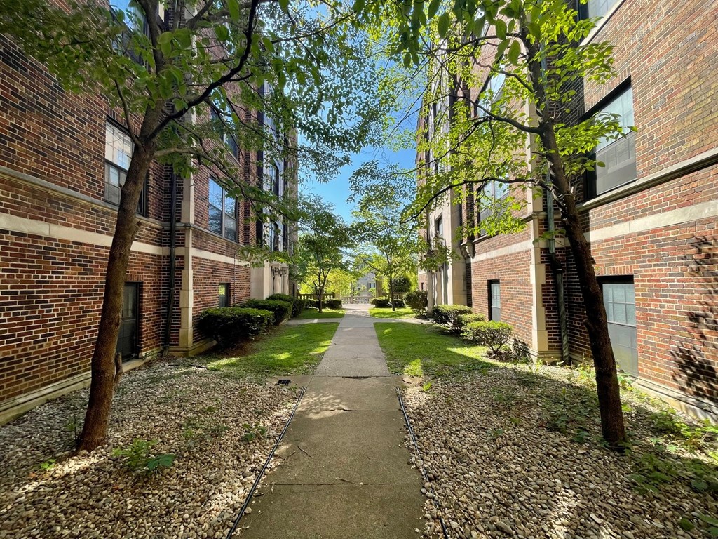 a sidewalk between two brick buildings with trees on either side