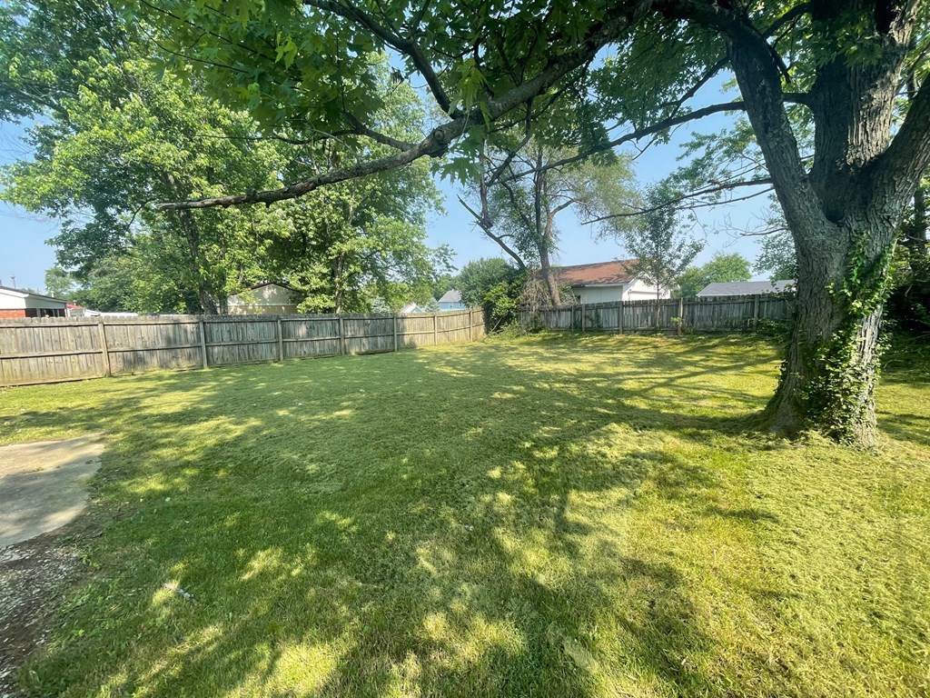 A backyard with a fence and a tree.