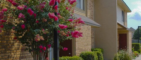 a house with pink roses in front of it
