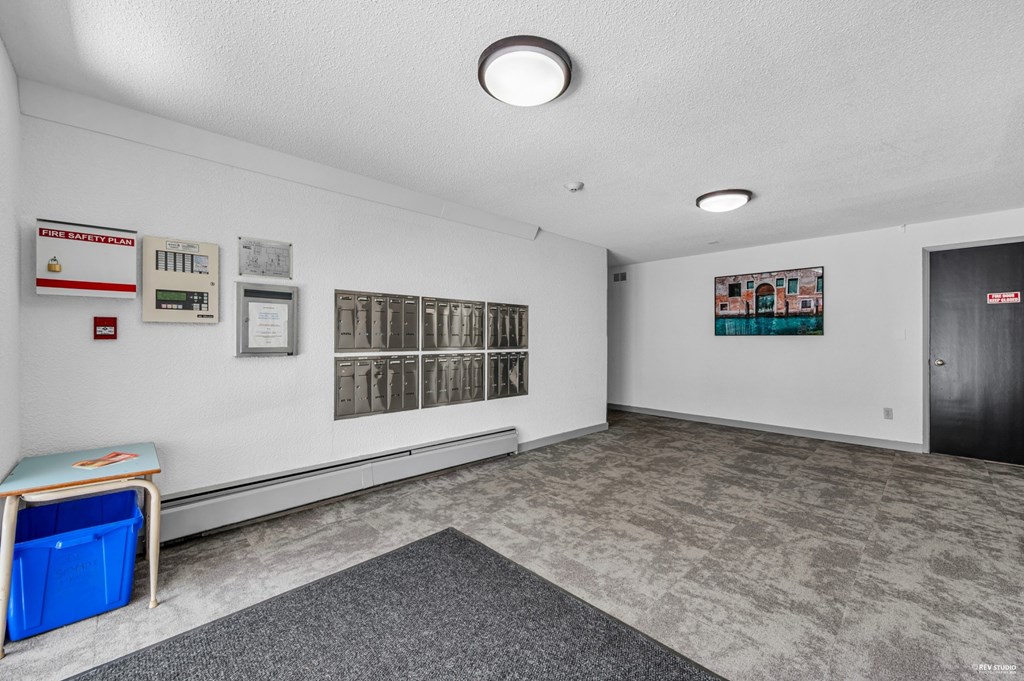 A room with a grey carpet and a blue bin on the floor.
