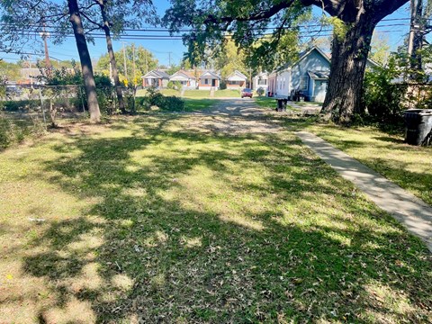 A backyard with a tree and a path.