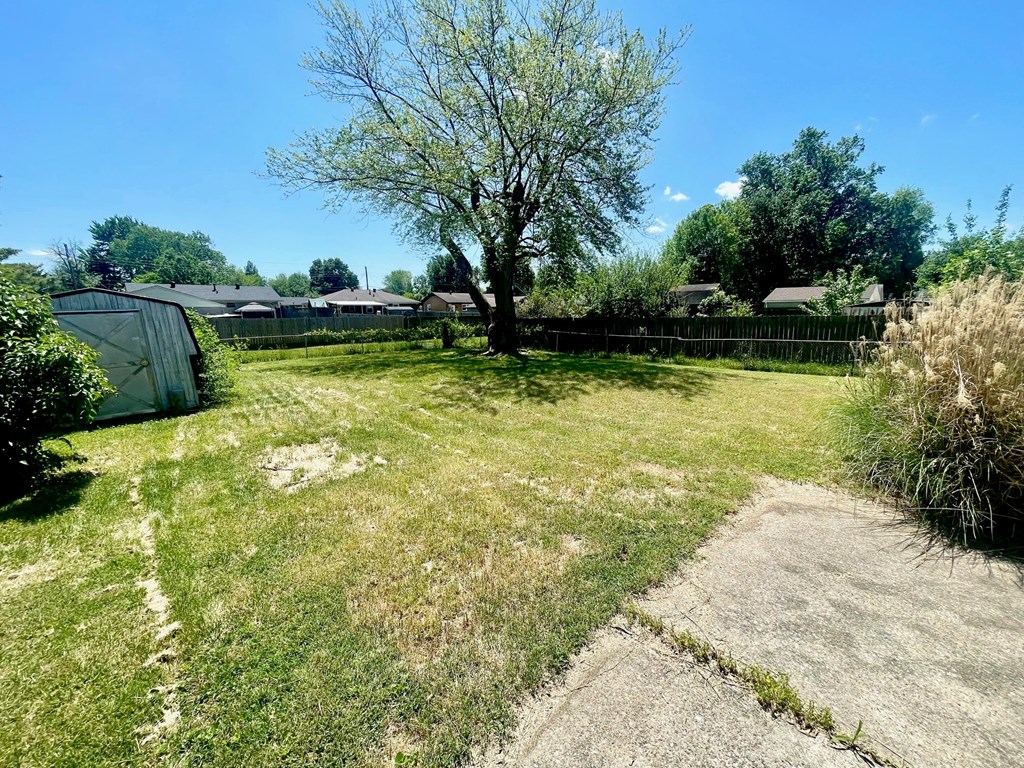 a backyard with a tree and a tent in the grass