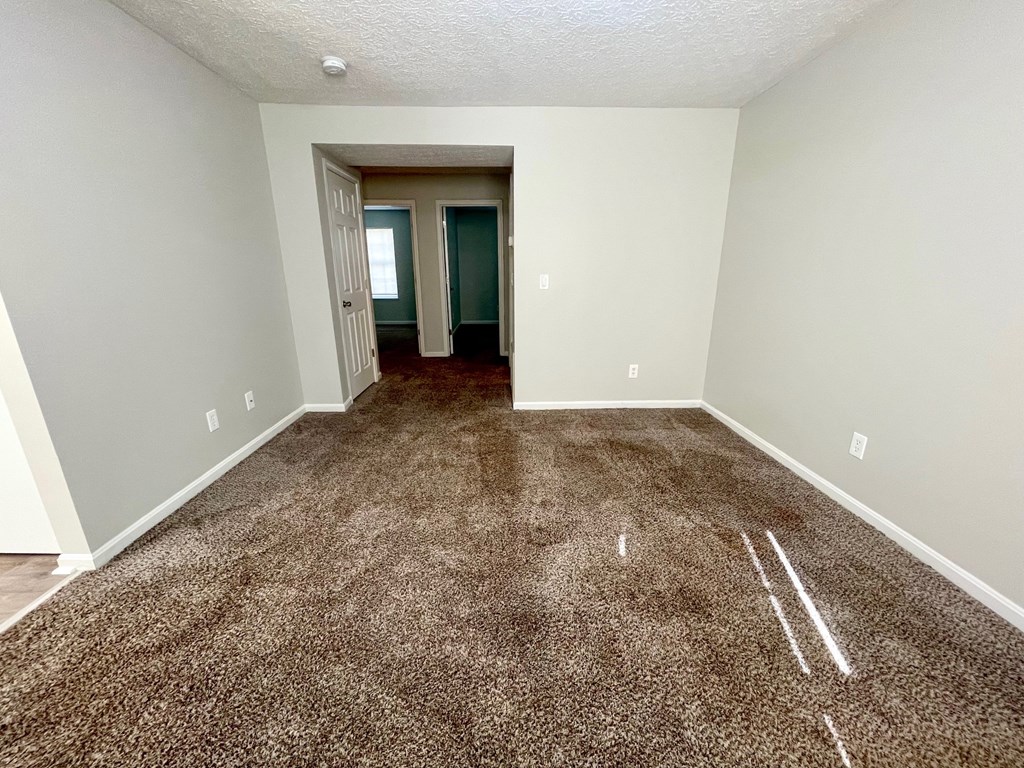A room with a brown carpet and a white door.