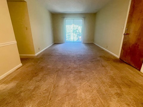 A room with a carpeted floor and a door leading to a balcony.