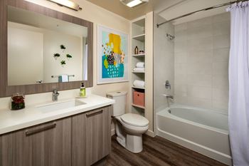 Built In Storage Cabinets in Bathroom*