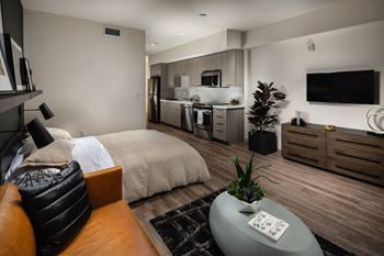 Loft Style Apartments*