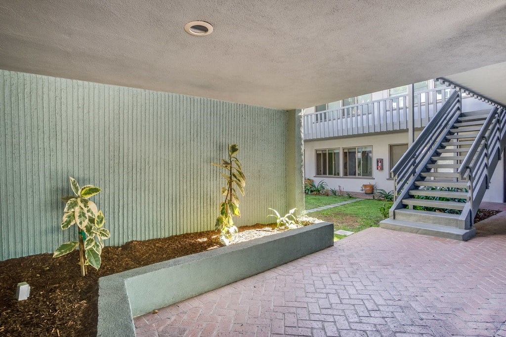 A green wall with a plant on it.