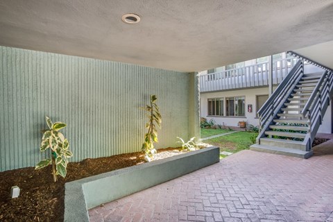 A green wall with a plant on it.