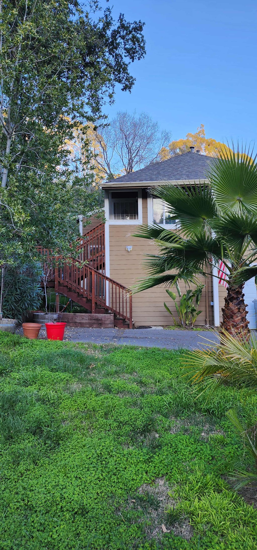 a house with a wooden deck and a palm tree in the yard
