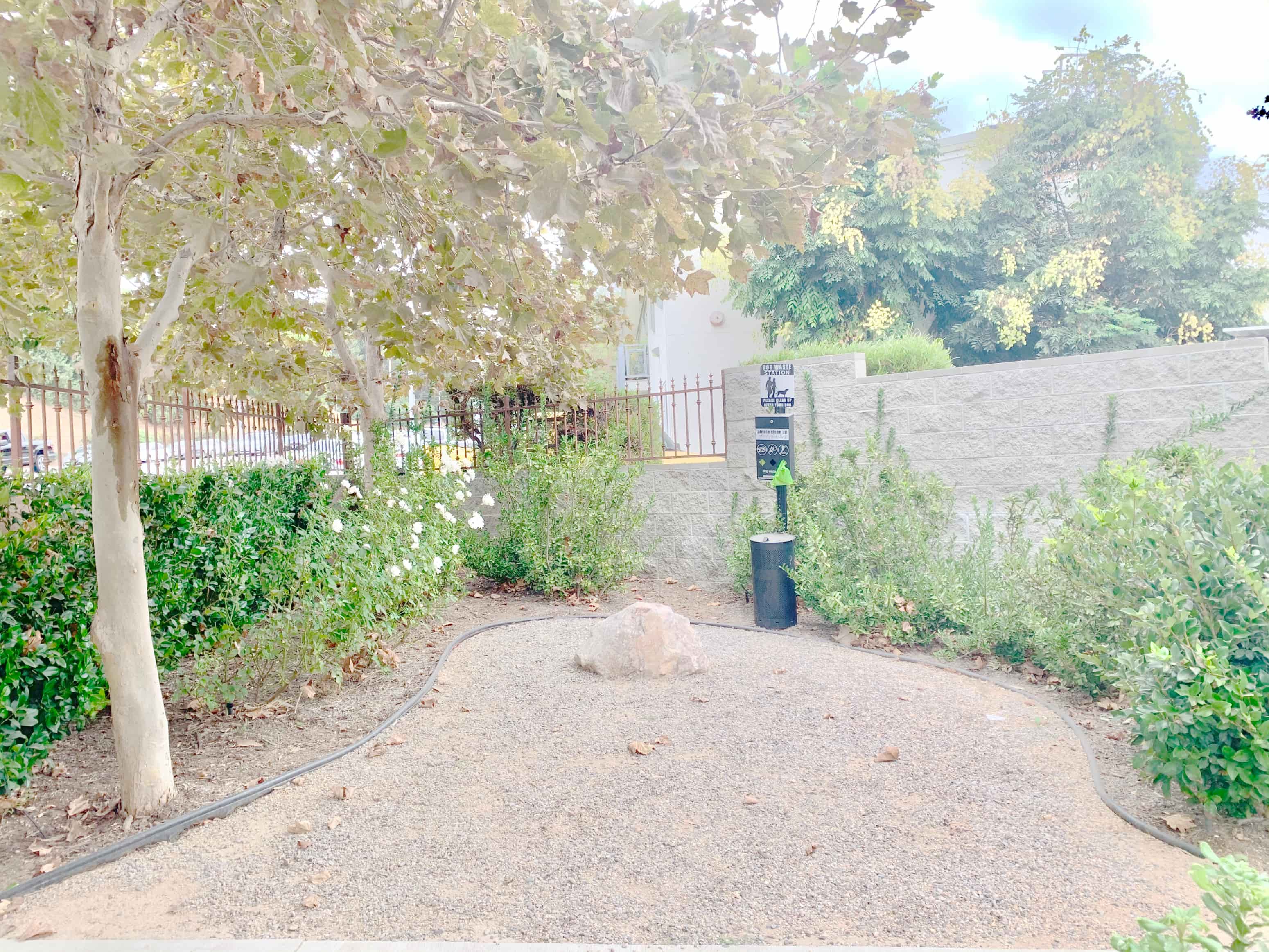 A dog is sitting in the middle of a gravel path.