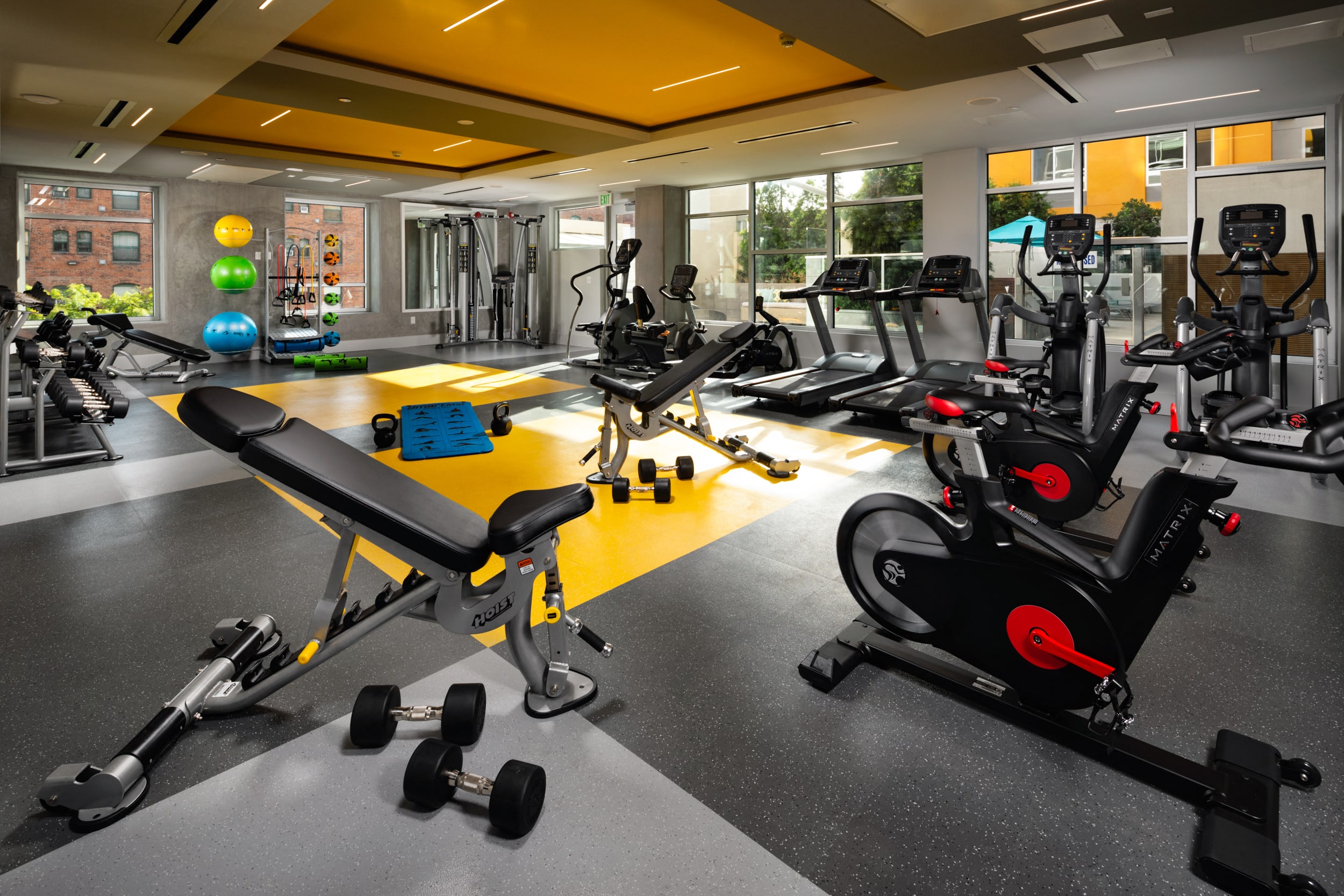 Gym with weights and treadmill