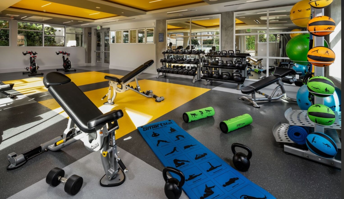 Gym with weight bench and free weights