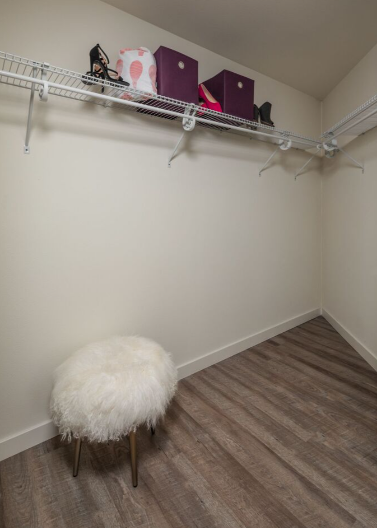 Walk in Closet with stool and items on shelf