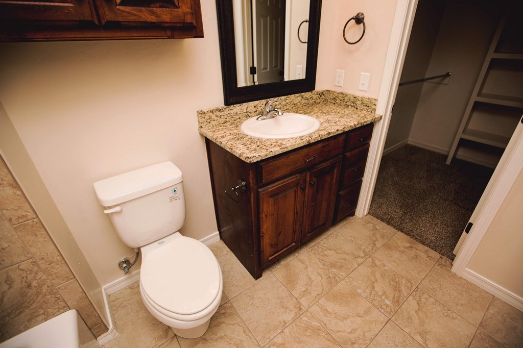 a bathroom with a toilet and a sink and a mirror