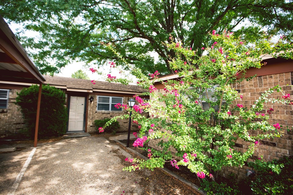 the front of the house has a driveway and a tree with pink flowers