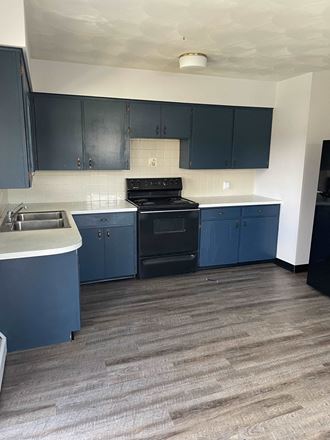 an empty kitchen with black appliances and blue cabinets