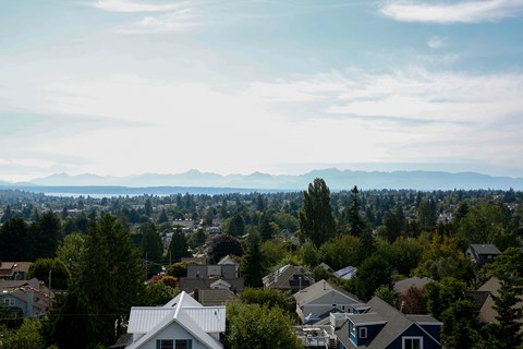 a view of the city from a hill above the city