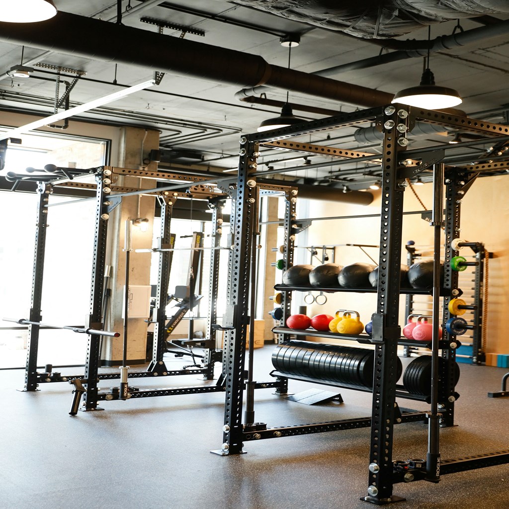 a gym with weights and a rack of balls in it