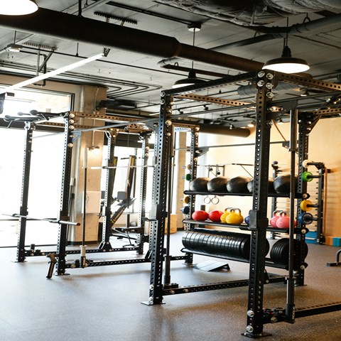 a gym with weights and a rack of balls in it