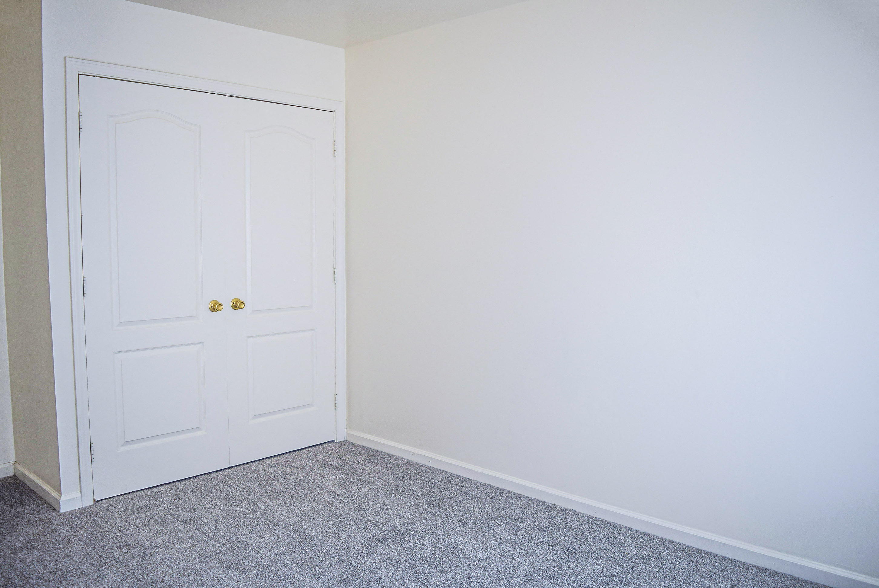 an empty room with a white door and a carpet