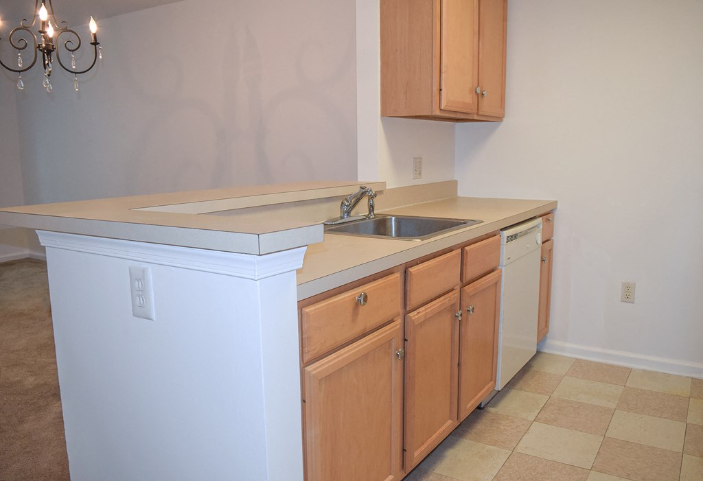 an empty kitchen with a sink and a dishwasher