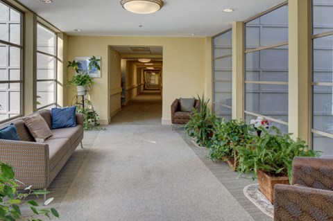 a hallway with couches and plants in a building