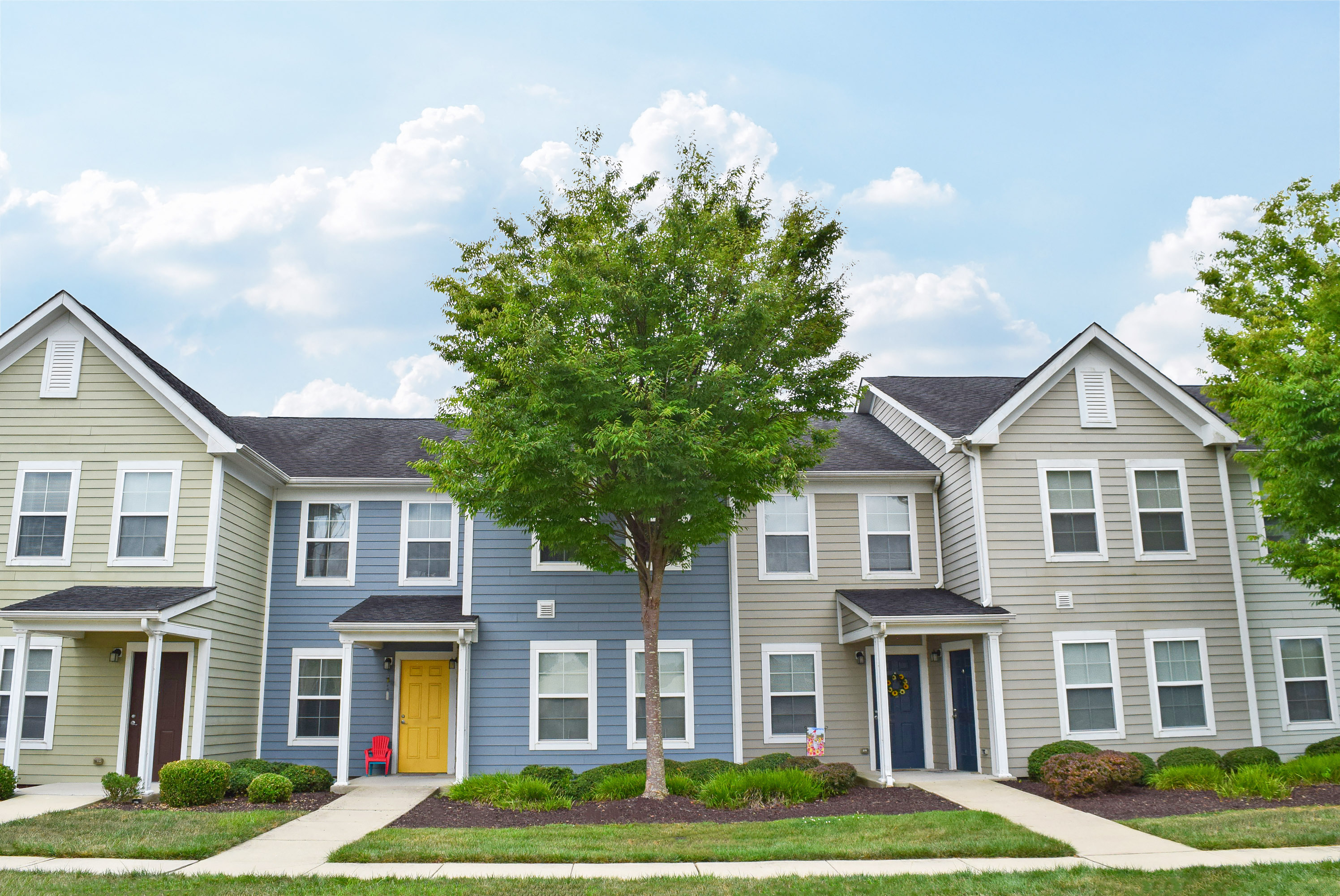 a row of townhomes with a tree in front of them