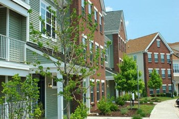 7141 Beverly Drive 2-3 Beds Apartment for Rent - Photo Gallery 5